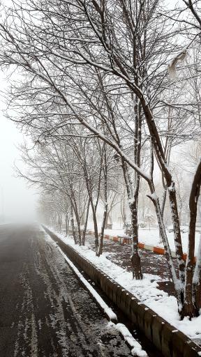 عکس پارک ولایت