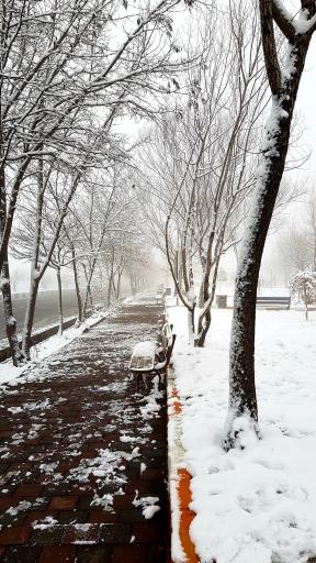 عکس پارک ولایت