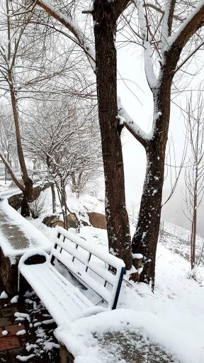 عکس پارک ولایت