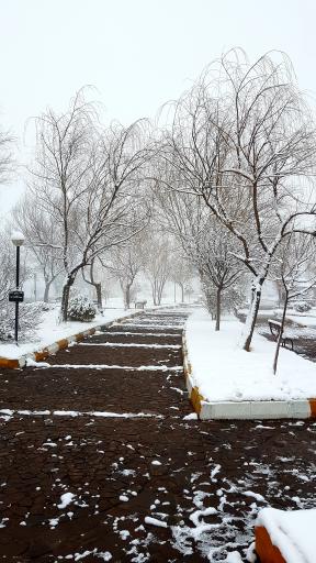 عکس پارک ولایت