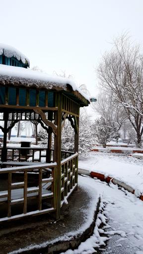 عکس پارک ولایت