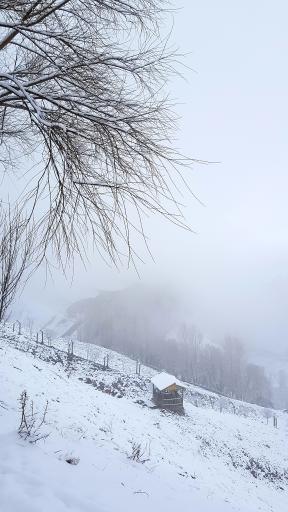 عکس پارک ولایت