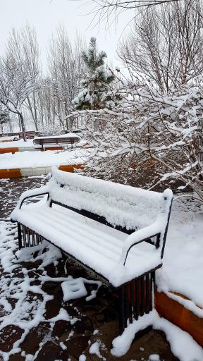 عکس پارک ولایت