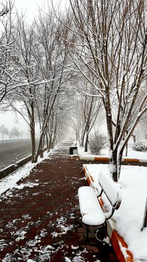 عکس پارک ولایت