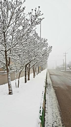 عکس پارک ولایت