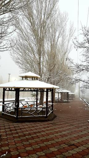 عکس پارک ولایت