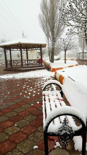 عکس پارک ولایت