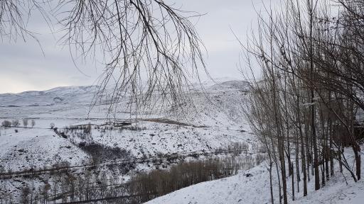 عکس پارک ولایت