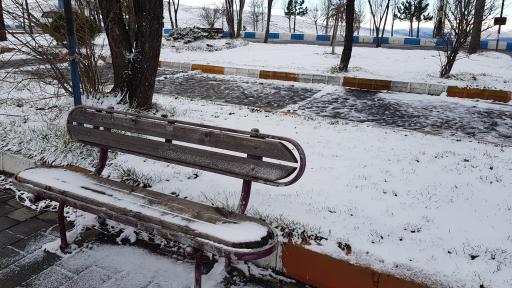 عکس پارک ولایت