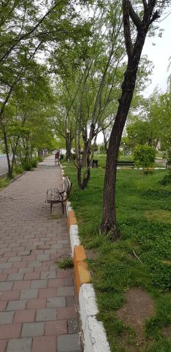 عکس پارک ولایت