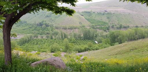 عکس پارک ولایت