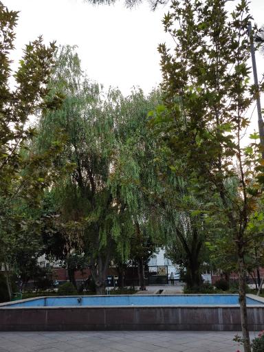 عکس باغ موزه ملی کار