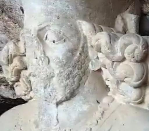 عکس تنگ چوگان