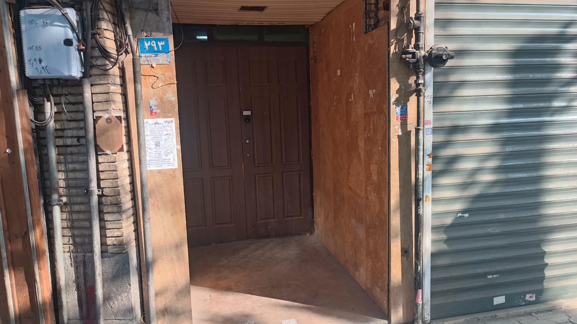 عکس گروه تولیدی پیتیکو