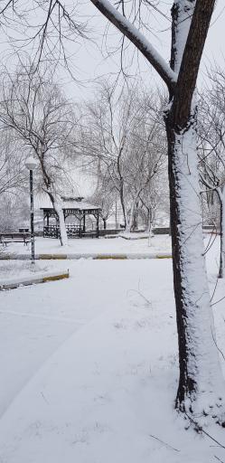 عکس پارک ولایت