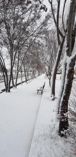 عکس پارک ولایت