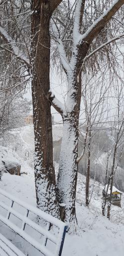 عکس پارک ولایت