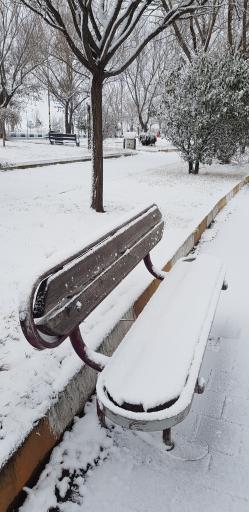 عکس پارک ولایت