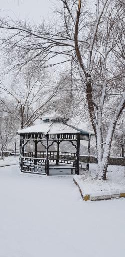 عکس پارک ولایت