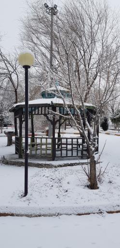 عکس پارک ولایت