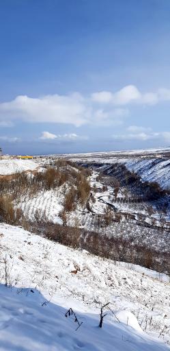 عکس پارک ولایت