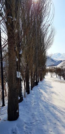 عکس پارک ولایت