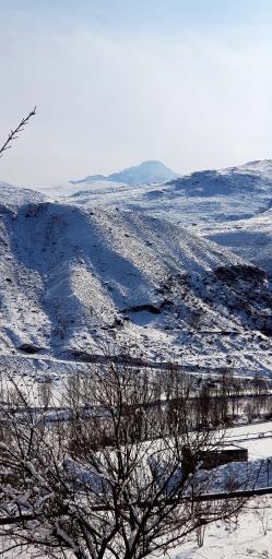 عکس پارک ولایت