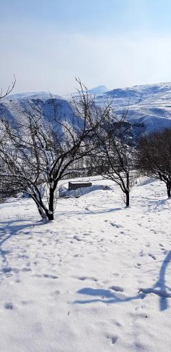 عکس پارک ولایت