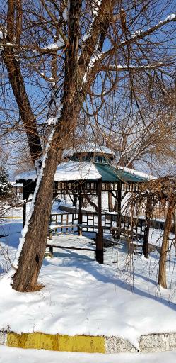 عکس پارک ولایت