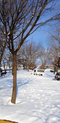 عکس پارک ولایت