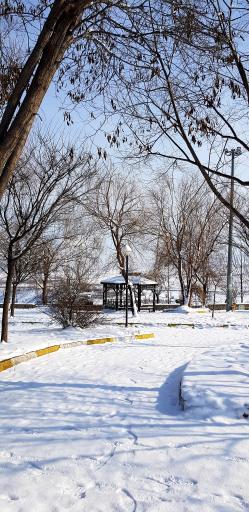 عکس پارک ولایت