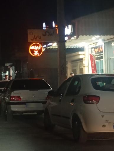 عکس مشاور املاک دایان