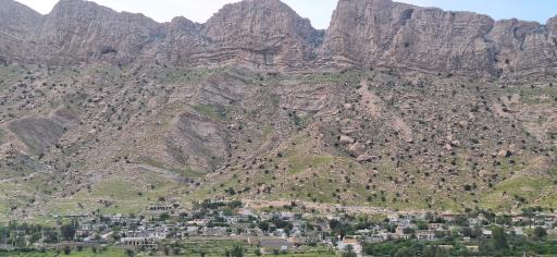 عکس تنگ چوگان