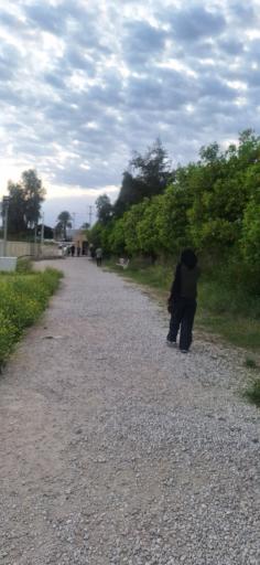 عکس تنگ چوگان