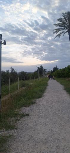 عکس تنگ چوگان