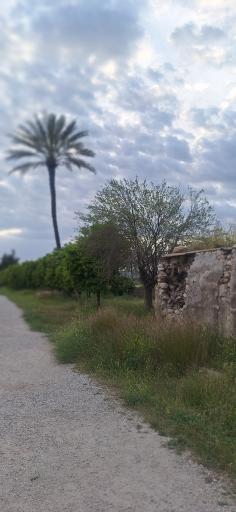 عکس تنگ چوگان