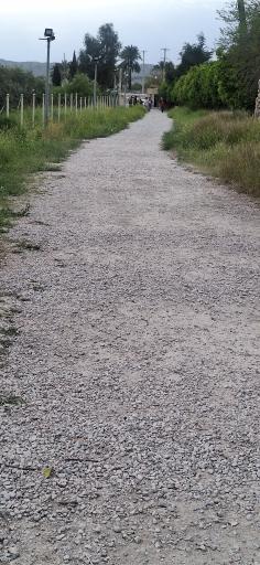 عکس تنگ چوگان