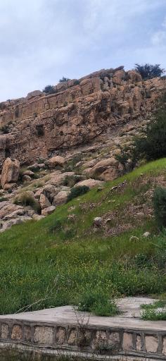 عکس تنگ چوگان