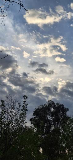 عکس تنگ چوگان