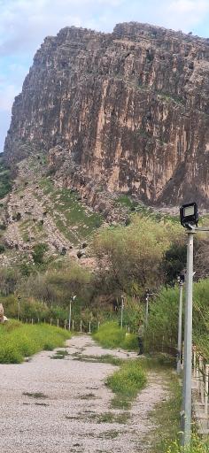 عکس تنگ چوگان