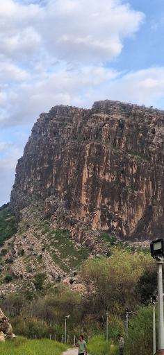 عکس تنگ چوگان