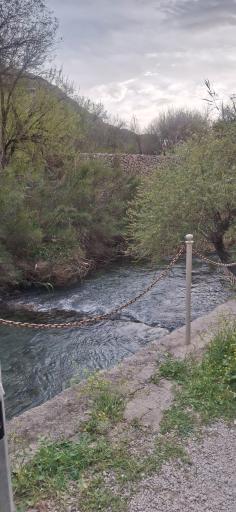 عکس تنگ چوگان