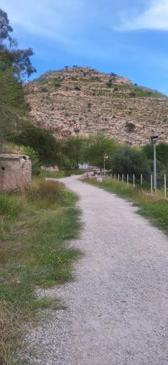 عکس تنگ چوگان