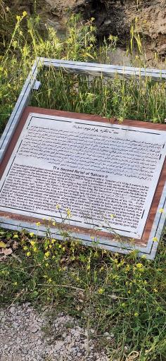 عکس تنگ چوگان