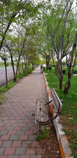 عکس پارک ولایت