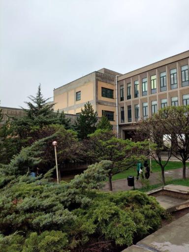 عکس میدان عشق