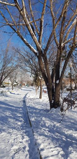 عکس پارک ولایت