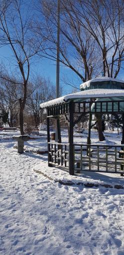 عکس پارک ولایت