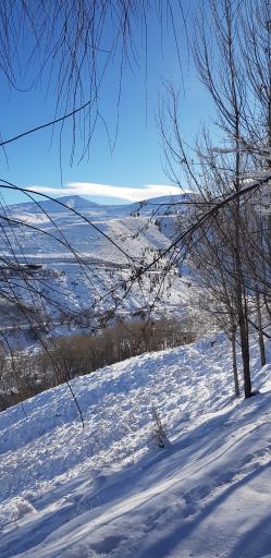 عکس پارک ولایت