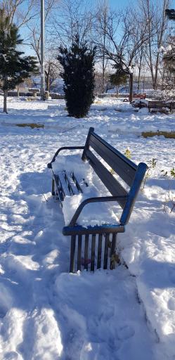 عکس پارک ولایت